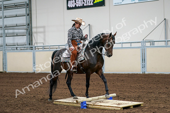 2020 - AB Morgan Horse - Fri, Sept 04 - 00322