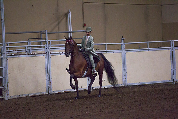 _P3A8296