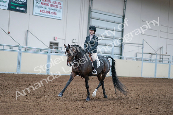 2020 - AB Morgan Horse - Fri, Sept 04 - 06159