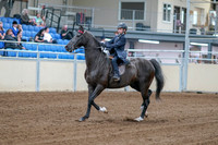 2020 - AB Morgan Horse - Fri, Sept 04 - 06980