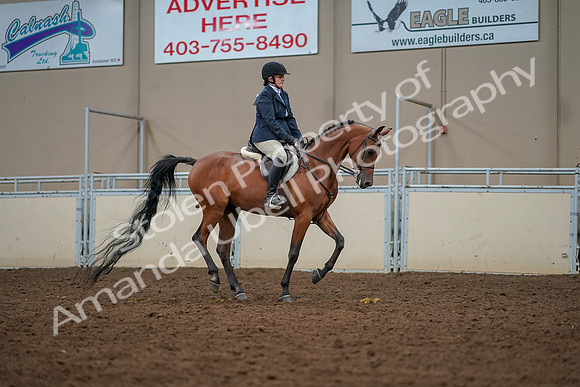 2019 Morgan Horse Show - Aug 30, 2019 - 22489