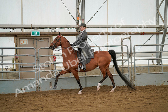 July 20, 2019 - 02312