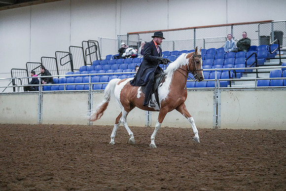 Spring Fling - Saturday - April 20, 2019  -  00766