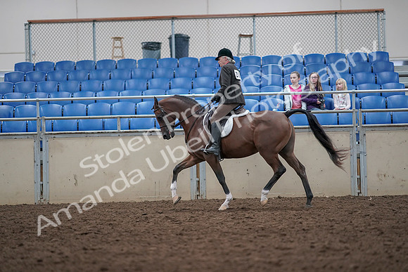 2019 Morgan Horse Show - Aug 31, 2019 - 15921