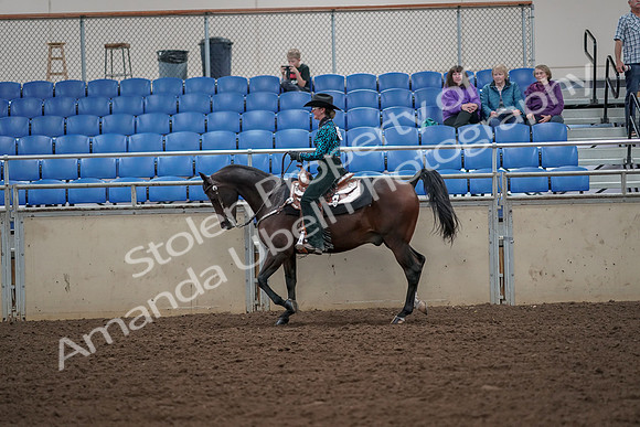 2019 Morgan Horse Show - Aug 30, 2019 - 25916