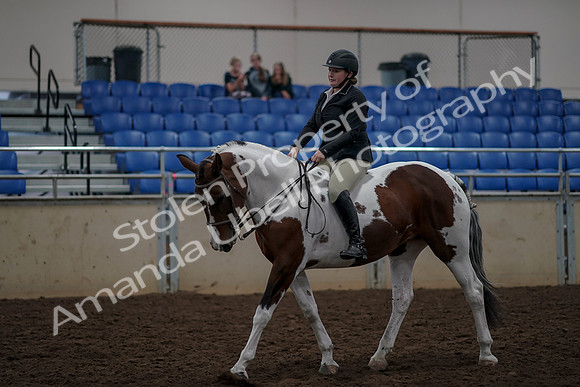 2019 Morgan Horse Show - Aug 30, 2019 - 31196