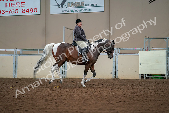 2019 Morgan Horse Show - Aug 30, 2019 - 22579