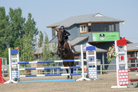 DSC02490