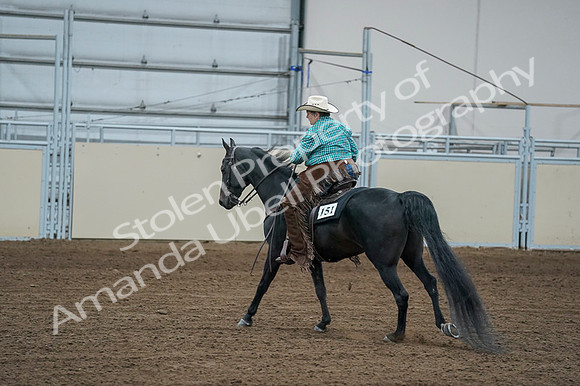 2020 - AB Morgan Horse - Fri, Sept 04 - 00621