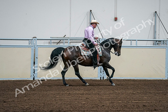 2020 - AB Morgan Horse - Fri, Sept 04 - 00568