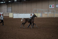 2019 Morgan Horse Show - Aug 31, 2019 - 00199