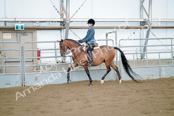 July 21, 2019 - 03135