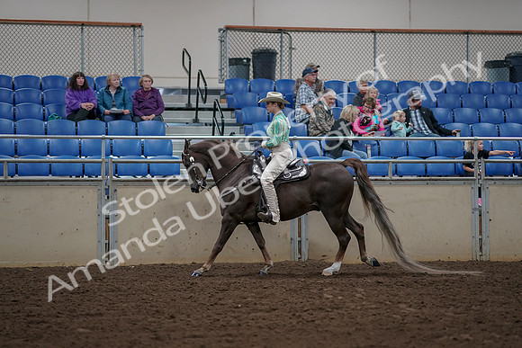 2019 Morgan Horse Show - Aug 30, 2019 - 26073