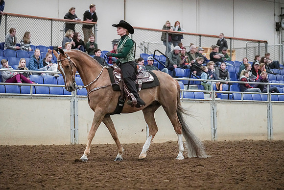 Spring Fling - Saturday - April 20, 2019  -  03996