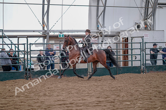 July 20, 2019 - 13856