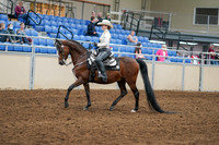 2020 - AB Morgan Horse - Sat, Sept 05 - 08873