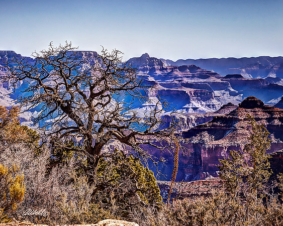 Landscapes - US - 034