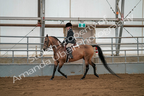 July 19, 2019 - 2541