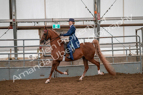 July 19, 2019 - 10245