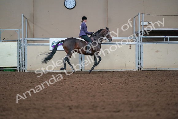 2019 Morgan Horse Show - Aug 30, 2019 - 20963