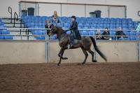 2019 Morgan Horse Show - Aug 30, 2019 - 15288