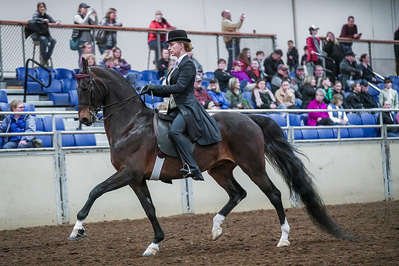 Spring Fling - Saturday - April 20, 2019  -  00437