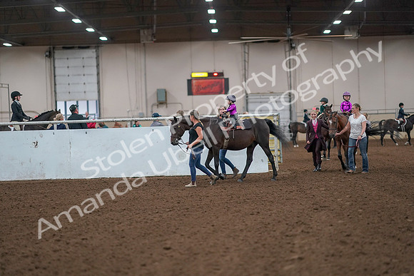 2019 Morgan Horse Show - Aug 31, 2019 - 18882
