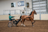 2020 - AB Morgan Horse - Sat, Sept 05 - 12445