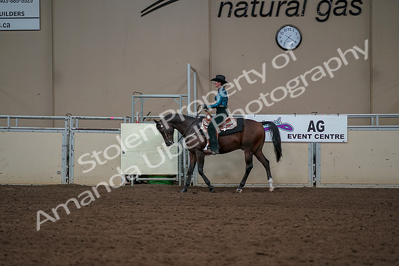 2019 Morgan Horse Show - Aug 30, 2019 - 26027