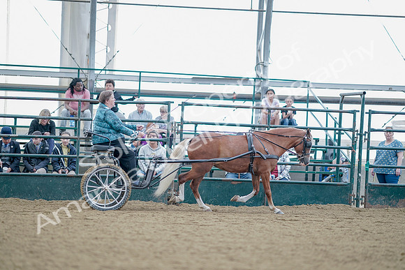 July 21, 2019 - 09091