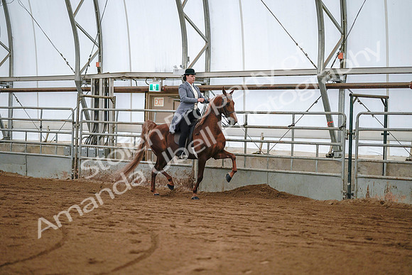 July 20, 2019 - 17085