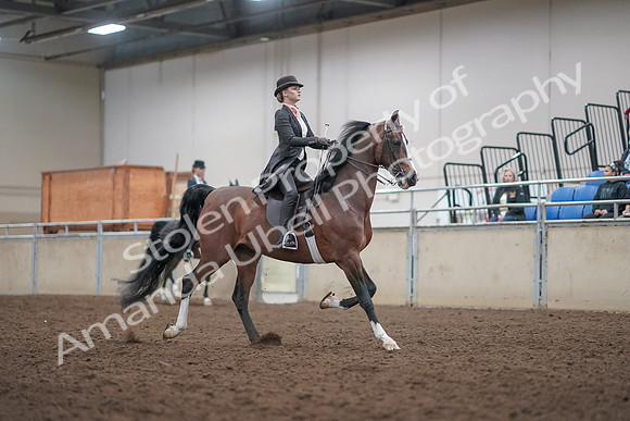 2019 Morgan Horse Show - Aug 31, 2019 - 08894