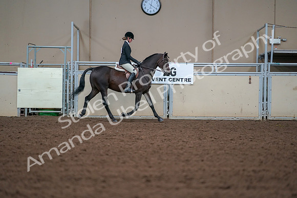 2019 Morgan Horse Show - Aug 30, 2019 - 20817