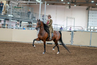 2020 - AB Morgan Horse - Sat, Sept 05 - 05269