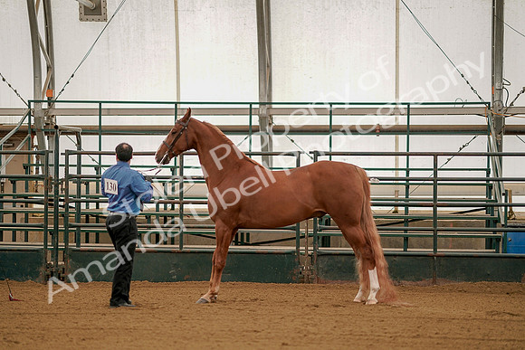 July 19, 2019 - 102
