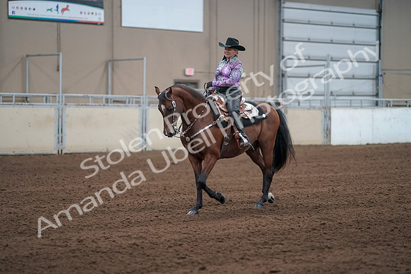 2019 Morgan Horse Show - Sept 01, 2019 - 07212