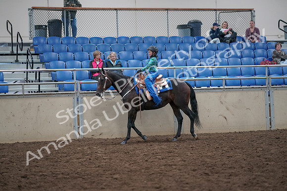 2019 Morgan Horse Show - Aug 31, 2019 - 16314
