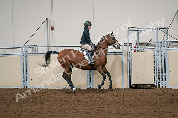 2020 - AB Morgan Horse - Fri, Sept 04 - 02097