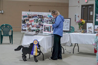 2019 Morgan Horse Show - Sept 01, 2019 - 05893