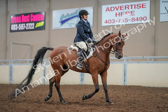 2019 Morgan Horse Show - Aug 30, 2019 - 22597