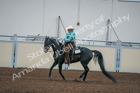 2020 - AB Morgan Horse - Fri, Sept 04 - 00626