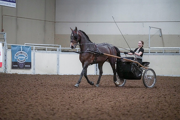 Spring Fling - Saturday - April 20, 2019  -  00198
