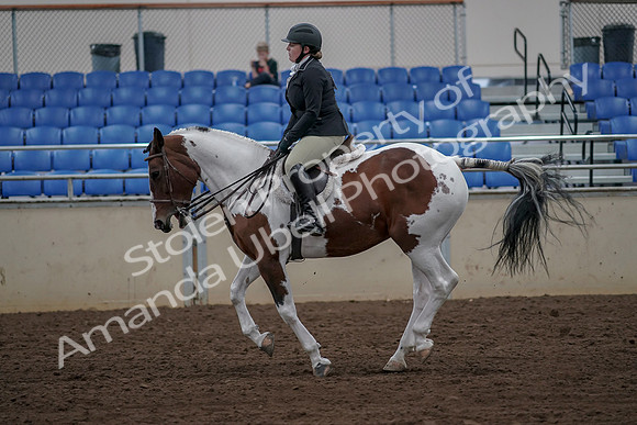 2019 Morgan Horse Show - Aug 30, 2019 - 14958