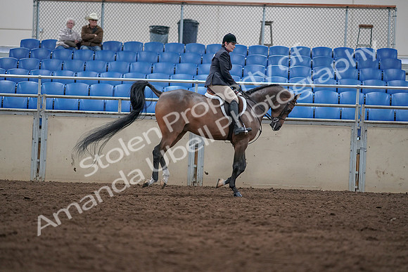 2019 Morgan Horse Show - Sept 01, 2019 - 08806