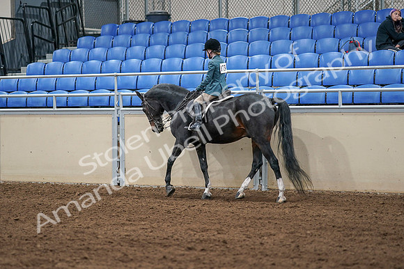 2020 - AB Morgan Horse - Fri, Sept 04 - 07746