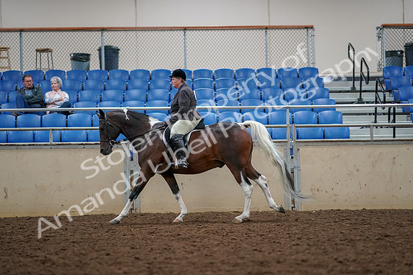 2019 Morgan Horse Show - Aug 30, 2019 - 22422