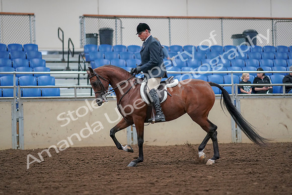 2019 Morgan Horse Show - Aug 30, 2019 - 16127