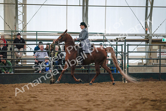 July 20, 2019 - 17016