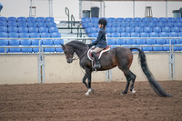 2019 Morgan Horse Show - Sept 01, 2019 - 05485
