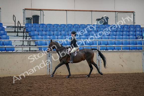 2019 Morgan Horse Show - Aug 30, 2019 - 23446